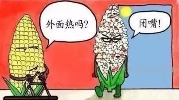 大雨暴雨又杀回上饶了!这次雨势凶猛”!更可怕的是七月 ag真人登录