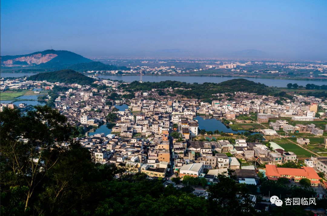 图片来源于网络 新溪莲子种植基地 位于龙湖区新溪镇西南部 特点就是