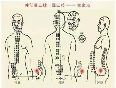 中医搭脉怎么做的_中医摸脉图(3)