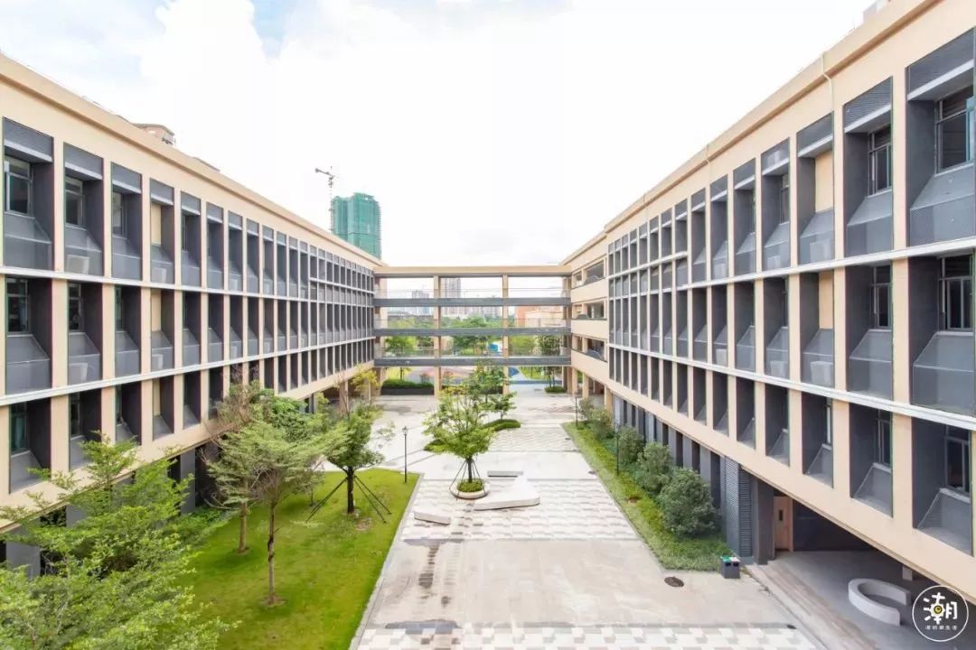 “宝藏学校”开始招生!书法、钢琴、陶艺免费学?还有151万奖学金!