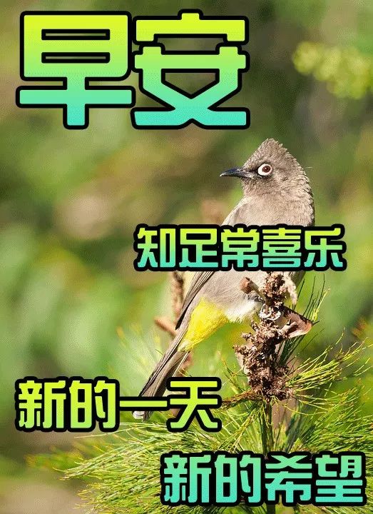 阳光七月早上好图片 最新版适合群发早晨祝福表情