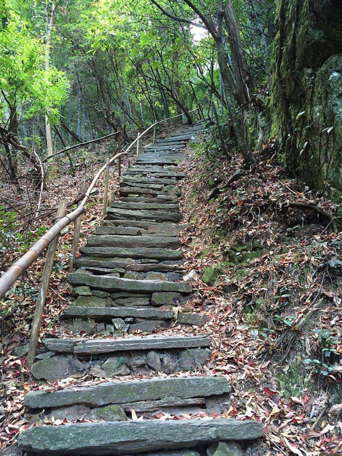 仙寓山古徽道在古代所经过的地方有池州,屯溪,景德镇,上饶等地,这条线