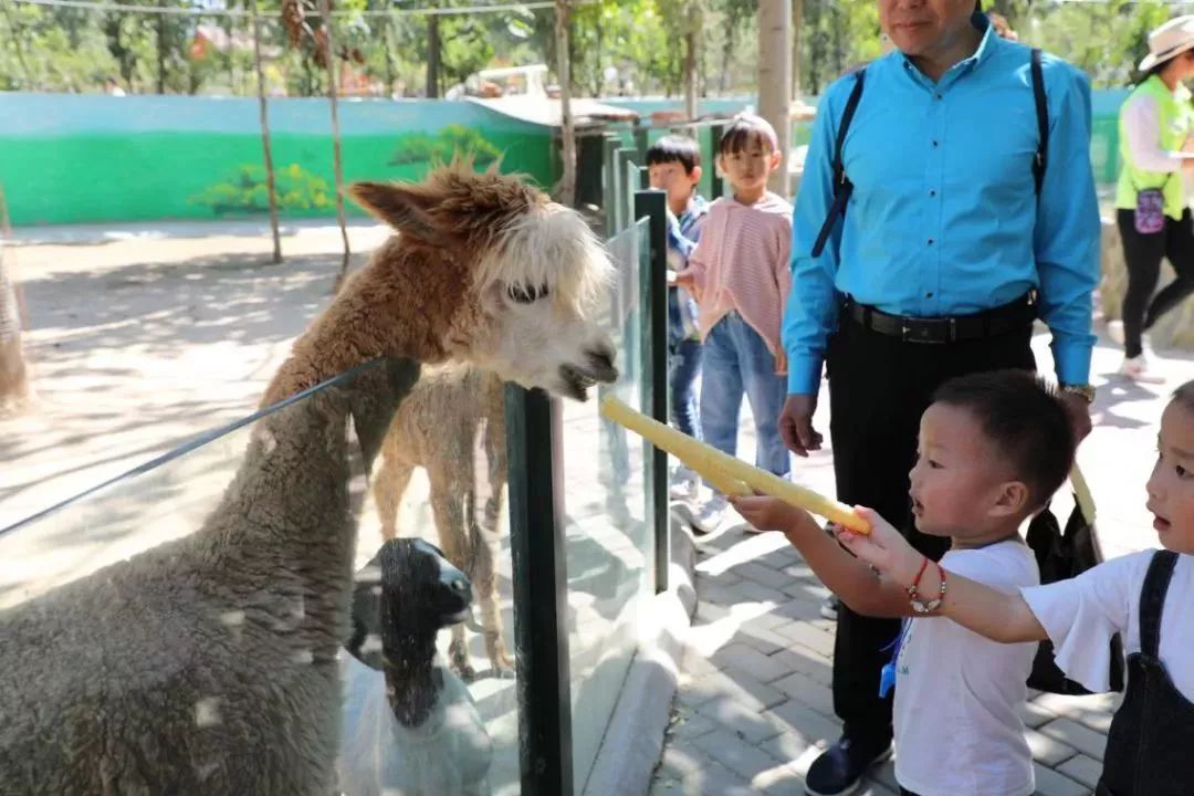 视听盛宴来袭!濮阳要举办电音节、灯光展门票还能半价!地址就在