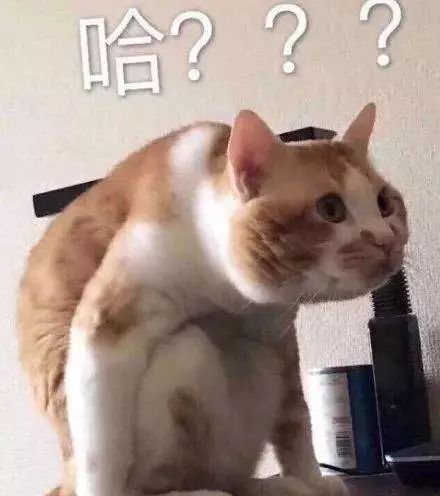 急急急!昨天在威远兰花街提着口袋的这几个女人,有谁认识... pt电子游戏pt电子游艺