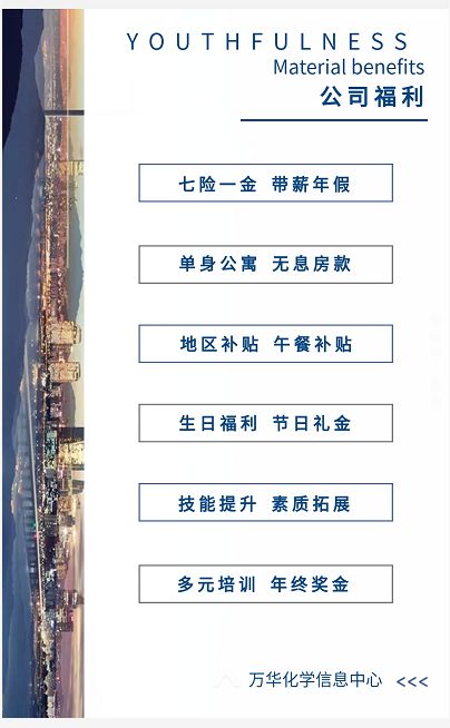 万华化学招聘_招聘 万华化学2021校园招聘正式启动(4)