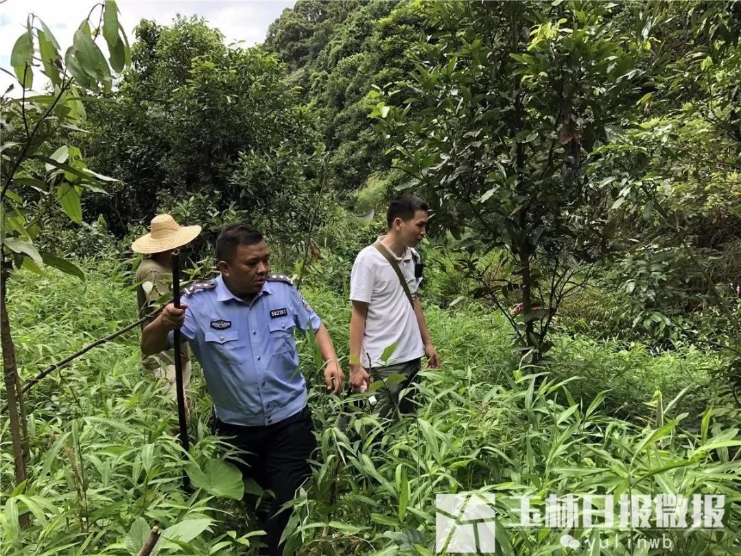 容县有多少人口_容县一家三口中毒父女二人遇难