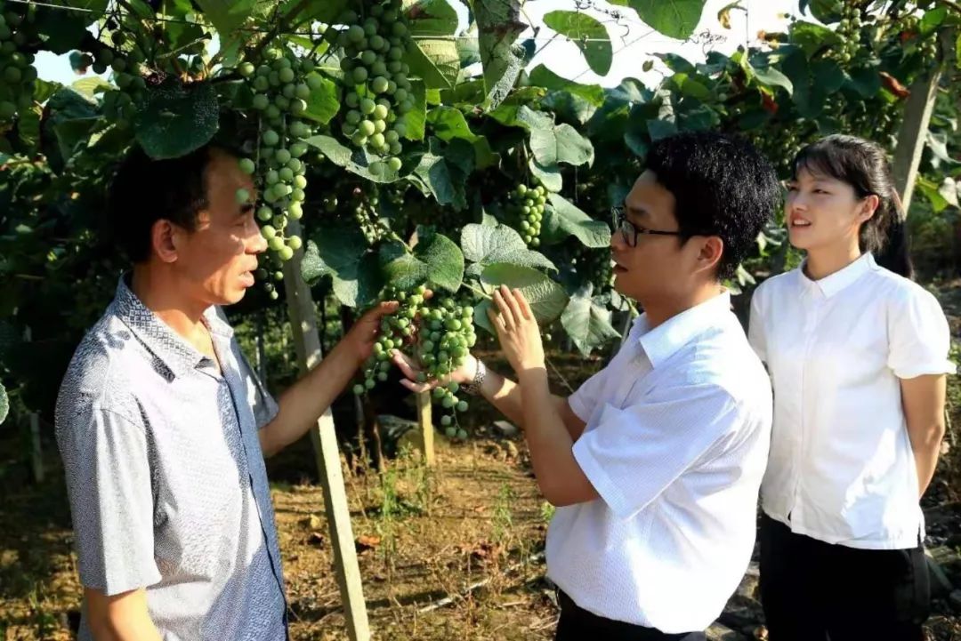 服务 | 崇义农商银行“四心”助力脱贫攻坚 龙8国际long8