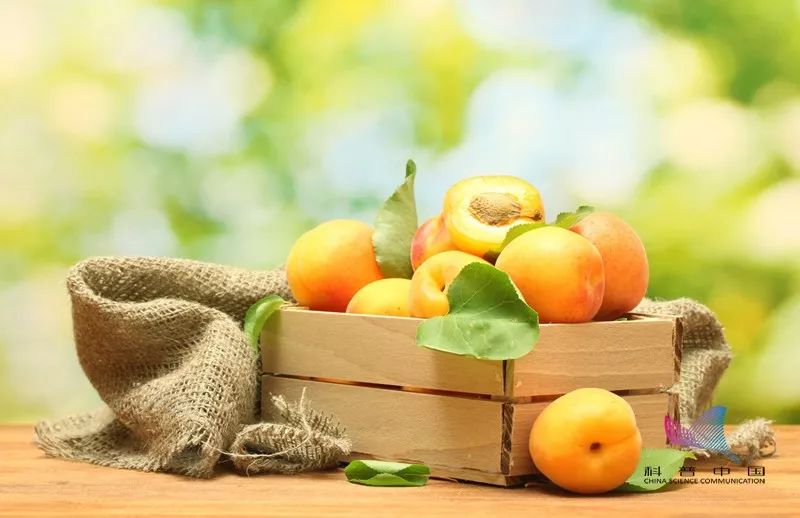 树李西瓜猜成语_看图猜成语(3)