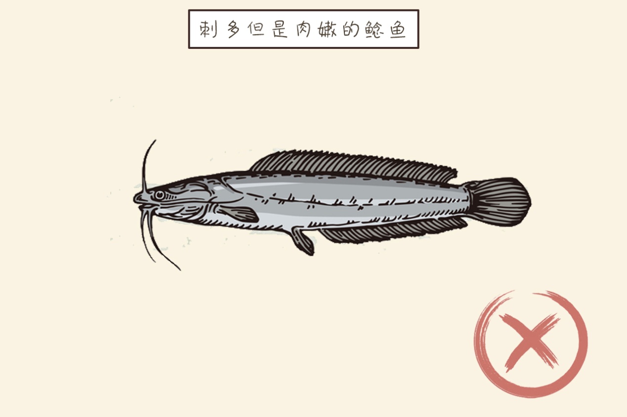                     孩子多吃鱼就能变聪明？儿科医生：3种鱼一口也别吃，别不懂装懂