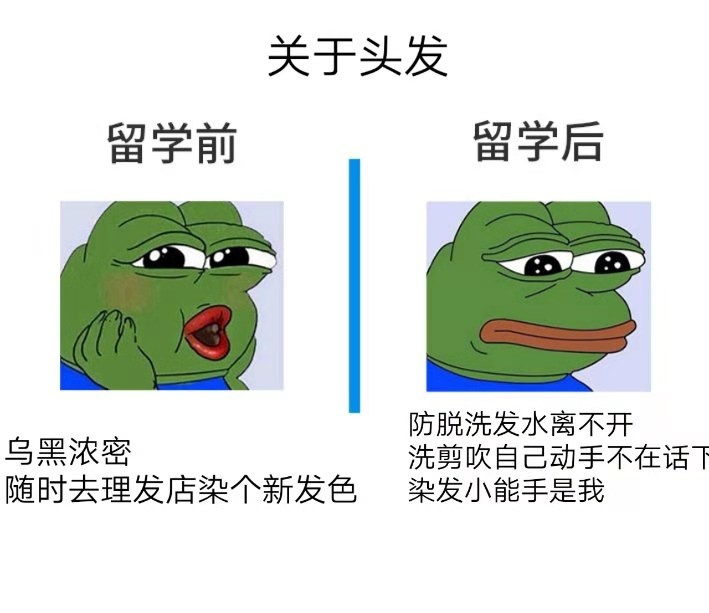 留学前vs留学后