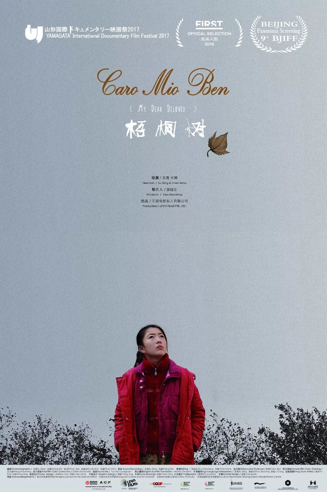 梧桐树简谱图片_梧桐树简谱歌谱(3)