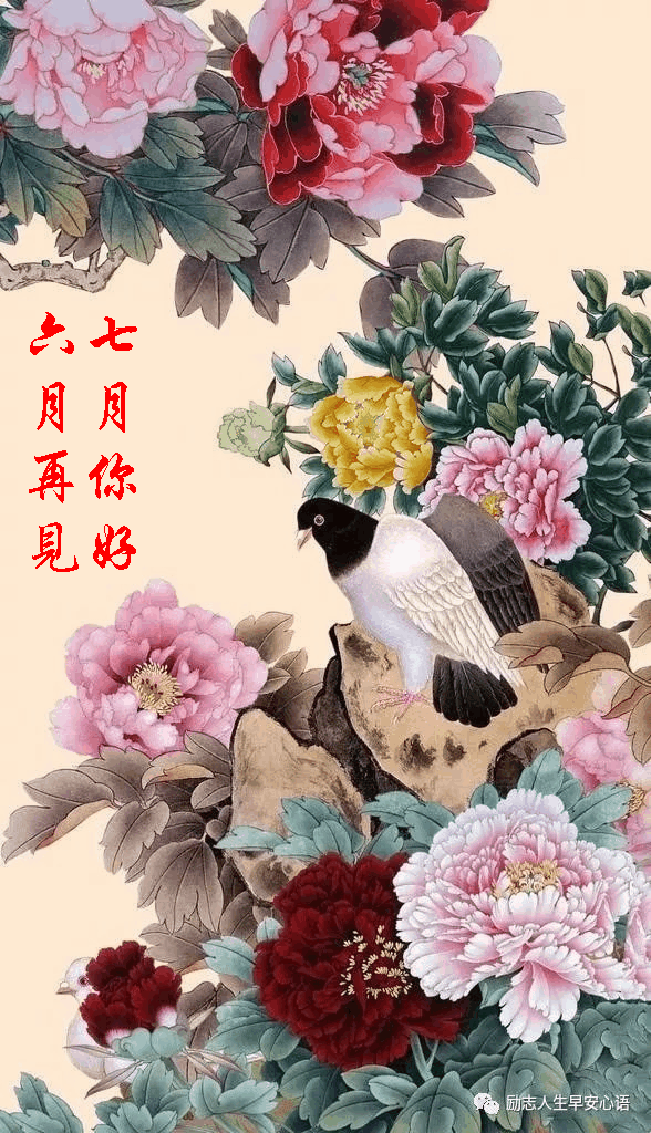 七月你好!