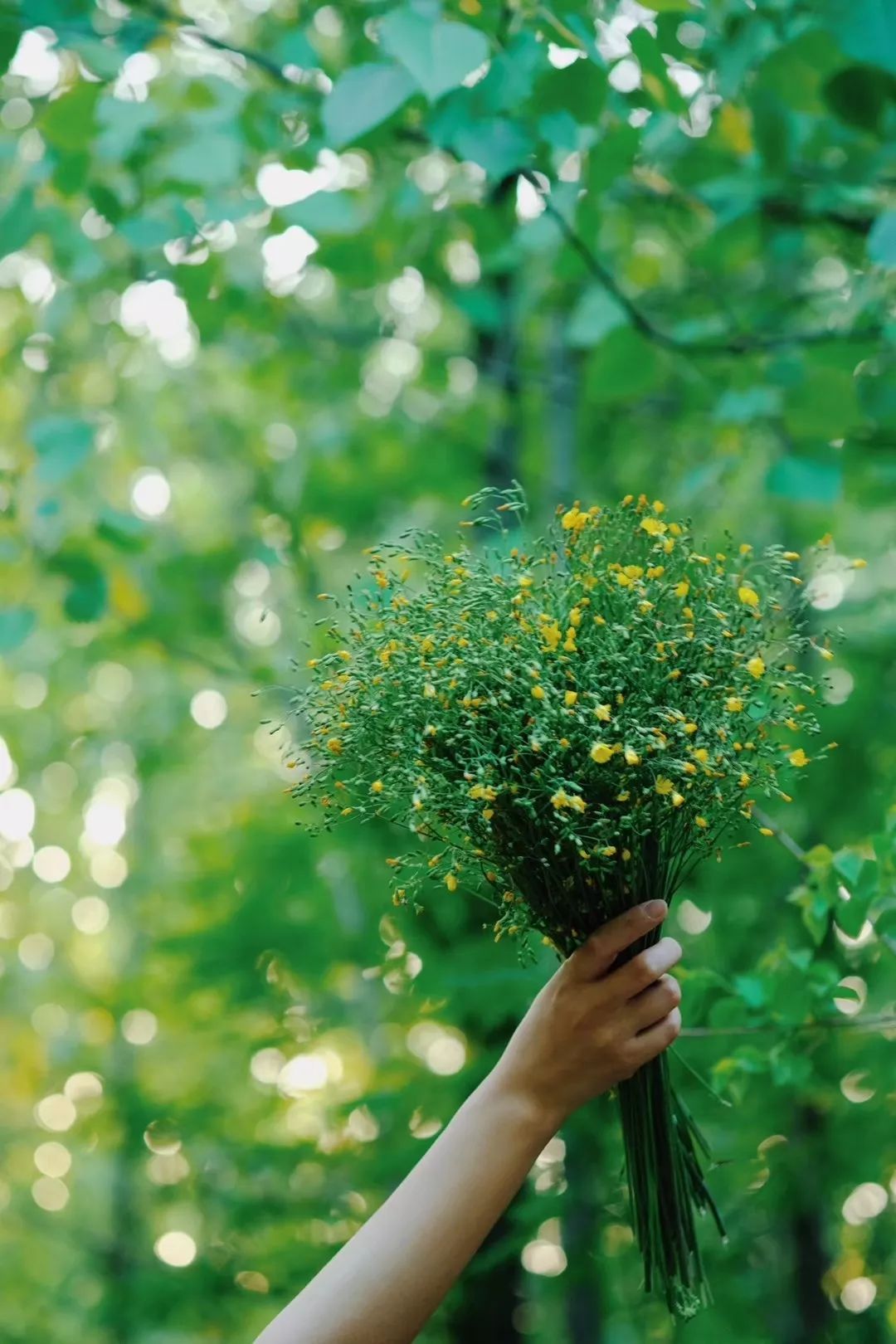 村上春树丨女人发火时,男人该怎么办?