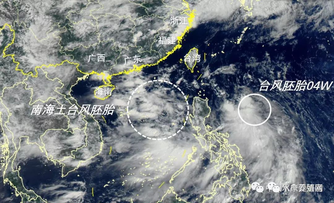 华北黄淮局部40℃,本周后期南方有强降雨,7月将有一两个台风登陆 博九国际网
