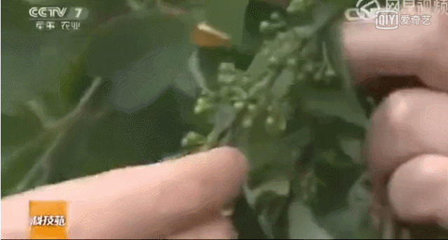 每天这样动一动,赶走疾病!血液通畅,气色好更年轻!