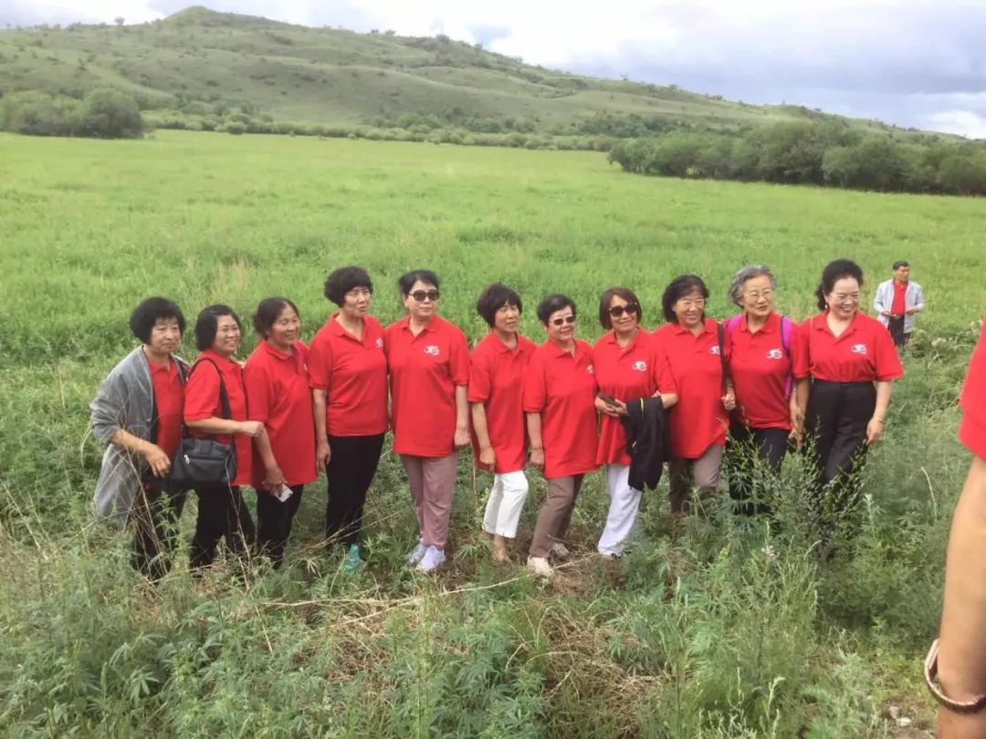 〔纪念兵团组建50周年专辑(十)〕踏上第二故乡