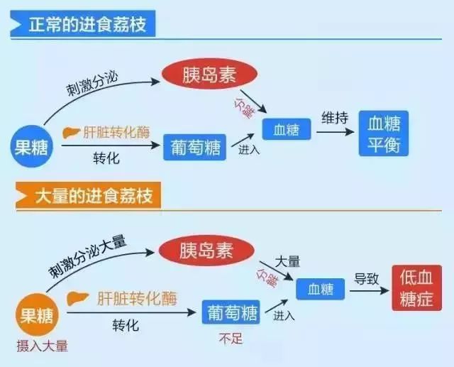                     47名孩子因吃荔枝死亡！医生呼吁：这几种水果孩子不宜多吃！