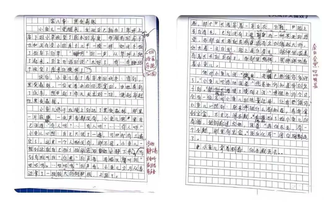 首发优惠写出10000字作文丨作文综合能力训练夏令营