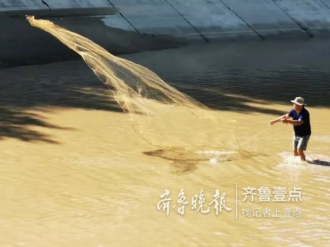 【东阿第一眼】东阿位山引黄干渠停水,捕鱼爱好者布网捕鱼 吉祥坊