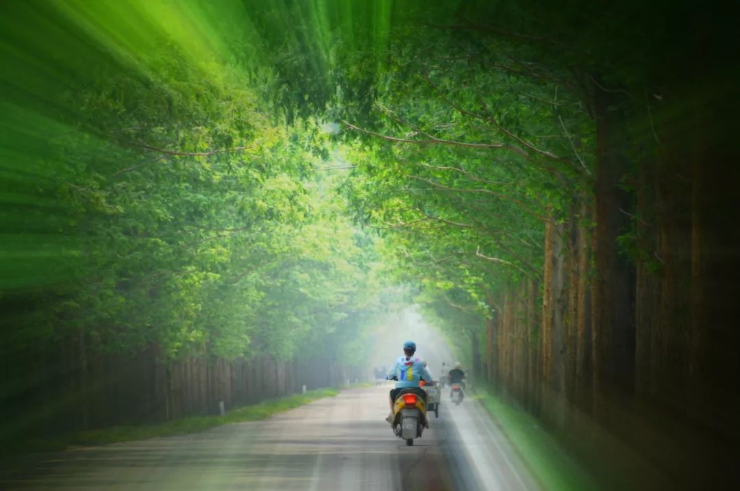 如何填词--周晓景说格律系列之三