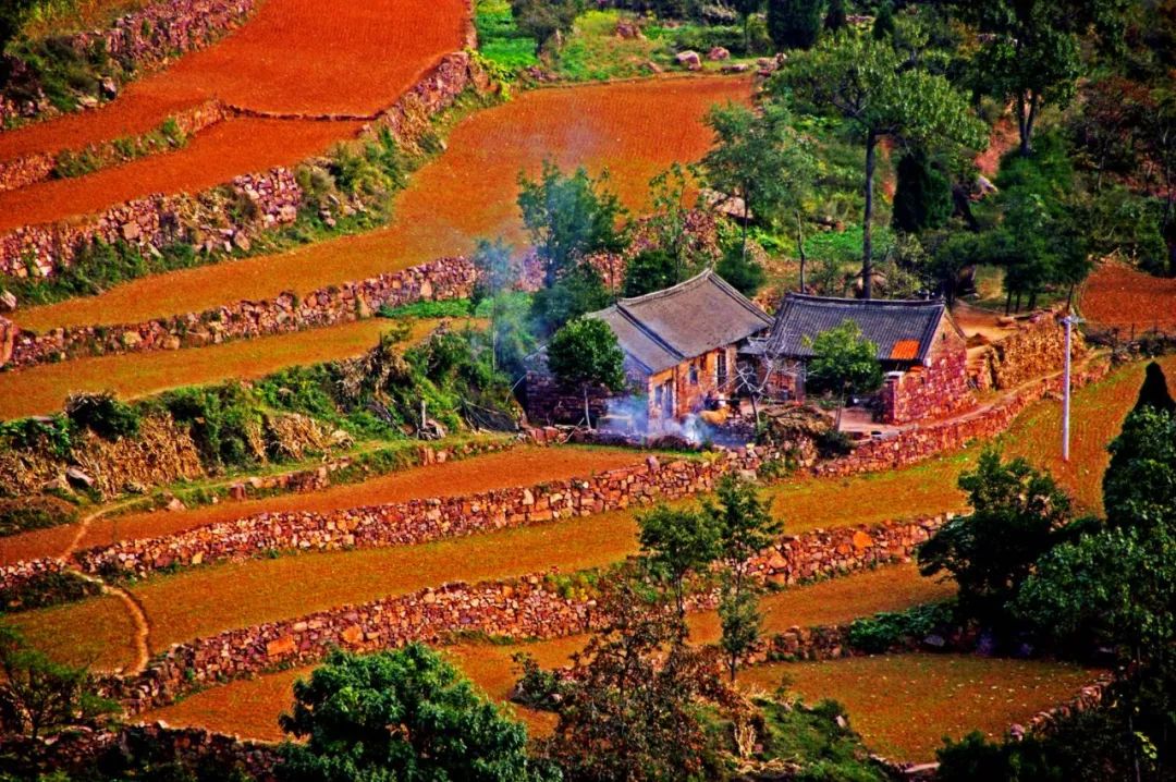 汝州市九峰山国家森林公园_九峰山景区科普教育基地_河南九峰山研学基地挂牌