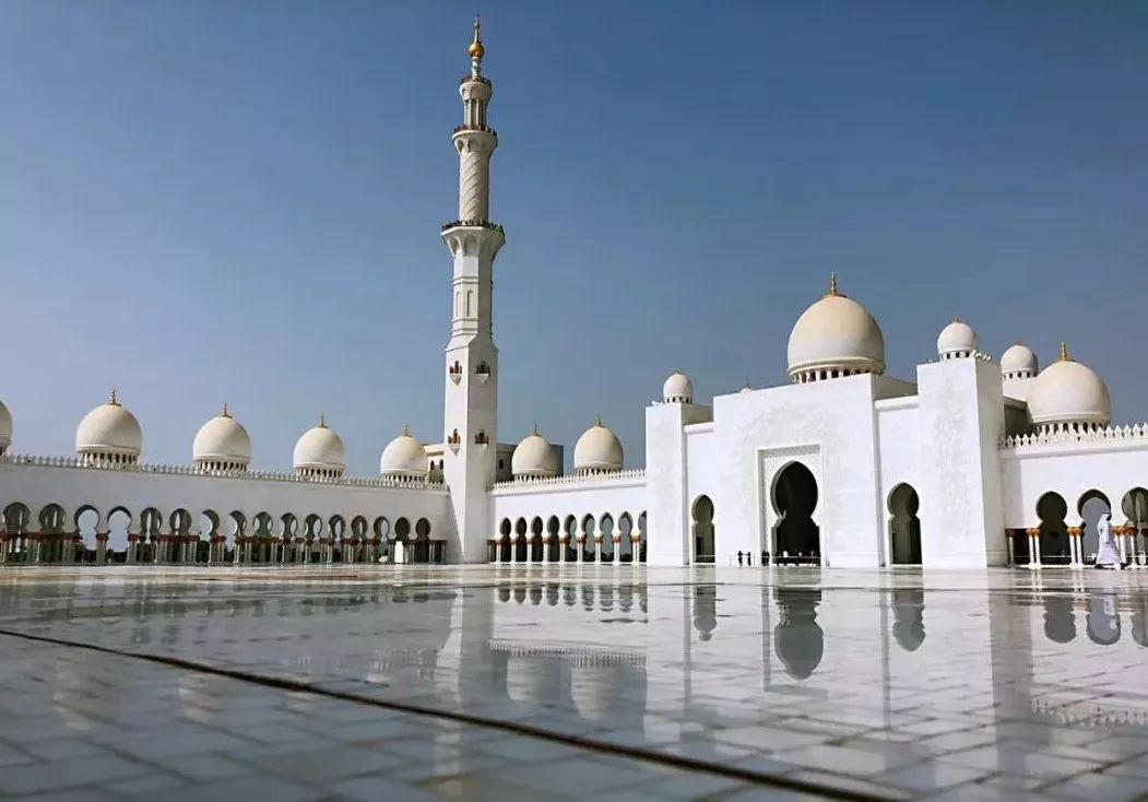 水族馆加盟排行_2018年度优秀加盟商