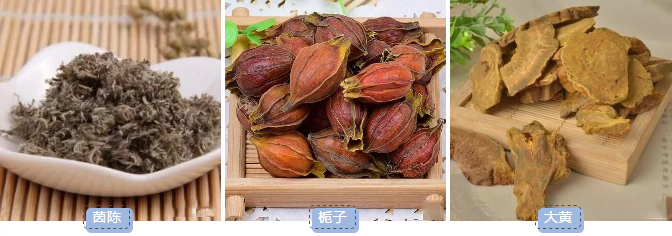 【揭秘常用药】茵陈蒿汤:只有3味药的退黄疸秘方
