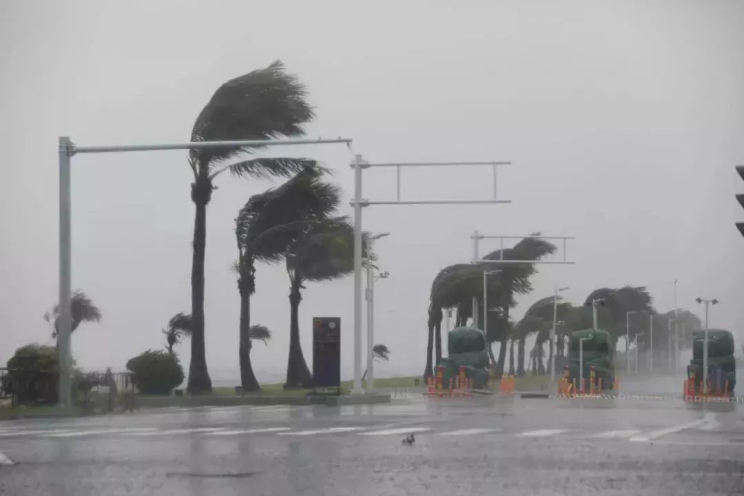 4号台风或明天生成!直扑广东海南!珠海或发预警