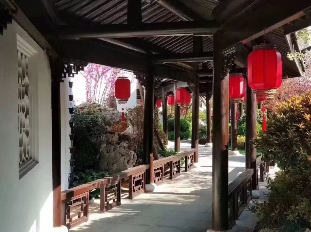 文章配图-12