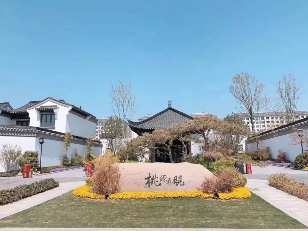 文章配图-8