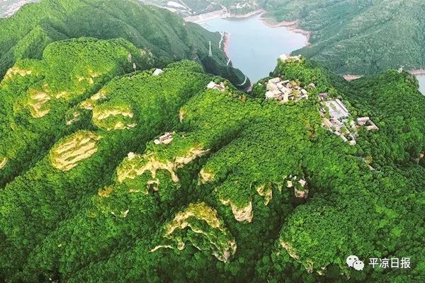 黄土塬上的“绿色神话” 99re久久热在线播放快