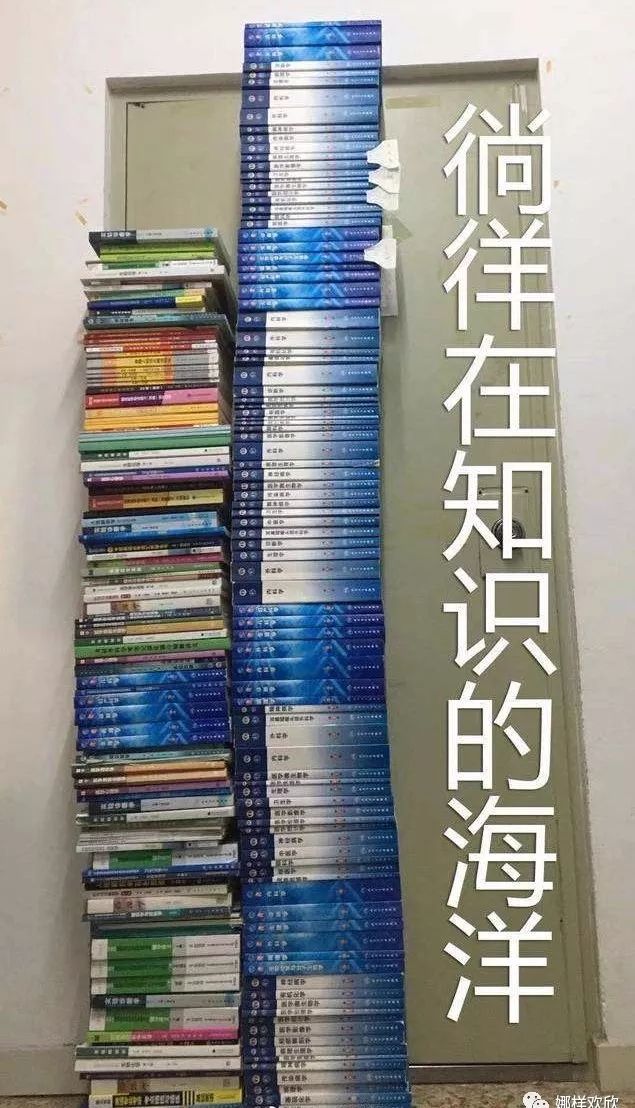 从墨尔本大学牙科研究生到普华永道美女审计师