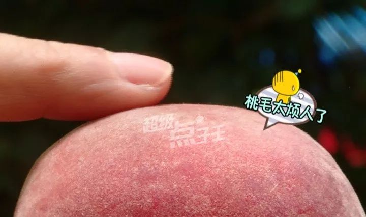 桃子好吃又营养,可上面细细的绒毛很难去除干净,吃起来会有一种毛毛