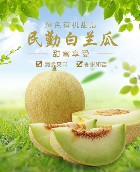 【震憾】甜到炸裂的民勤蜜瓜 88必发手机网页版