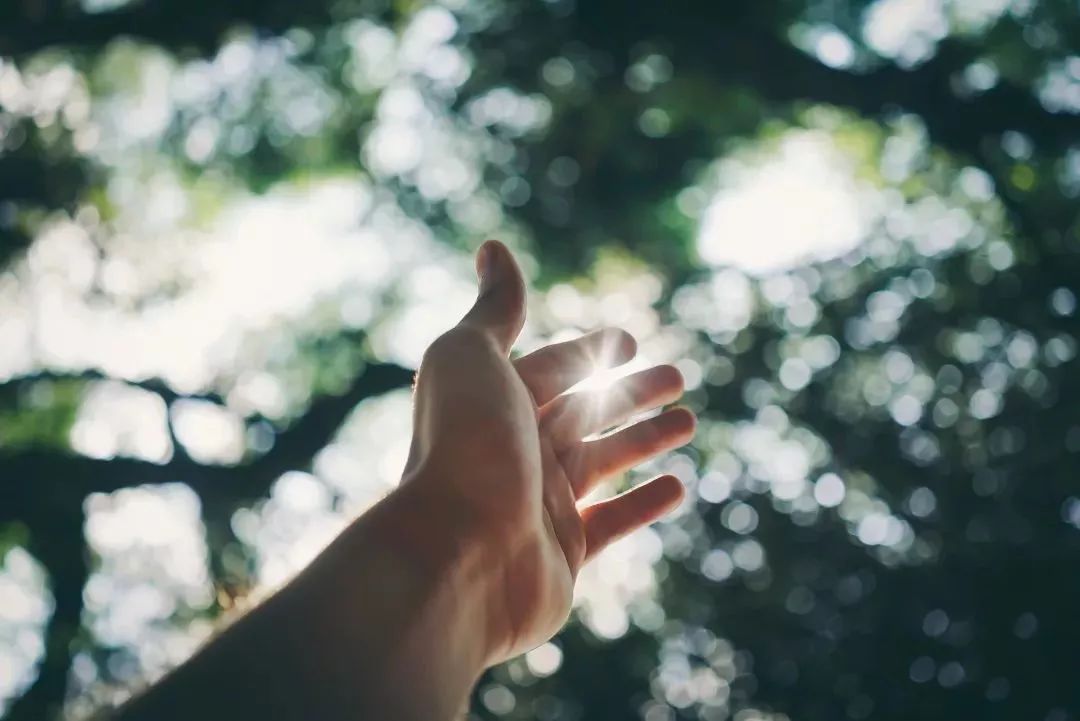 肝脏好的人,手上通常有4个“标志”,来看看,你有几个? 偷偷要全国最大色情网