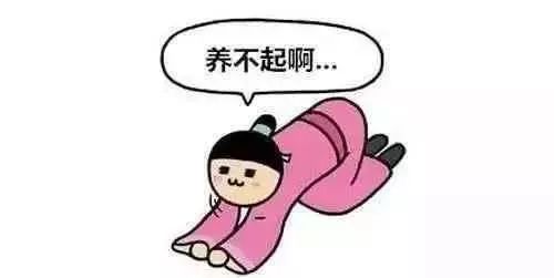 4c3bf571fe6a4a108af6809f69fb6c4c.jpeg