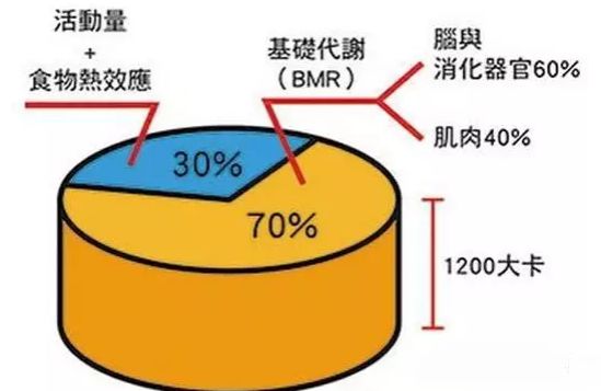 人口瓶颈_房价继续快速上涨的动力还存在吗(3)