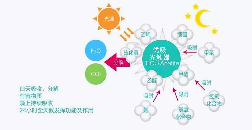 用香薰可以除甲醛？过来人：别傻了！它们才是甲醛的“死对头” 