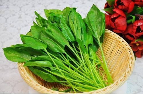                     原创            孩子长高全看遗传因素？常给孩子吃几种食物，肯定有利于长高孩