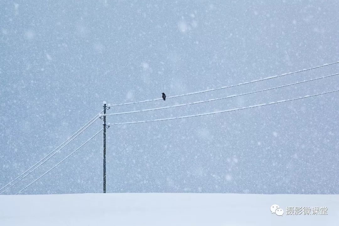 7月5日|免费微课《v龙鱼你摄影师的龙鱼》听懂35宽的缸养眼力图片