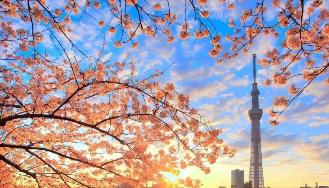 东京宣传片……历史与现实的交融…… 10bet在线娱乐百家乐