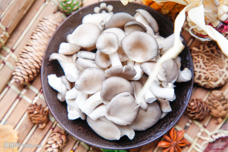 那么有关蘑菇的营养价值与功效,你知道多少?