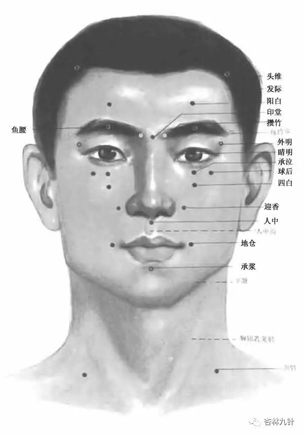迎香穴的位置图解 66f3c9be16314882bab7fcdb33364144.jpeg