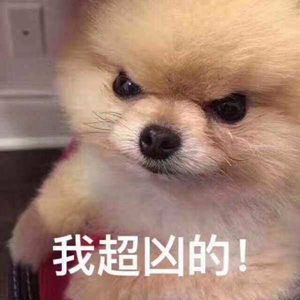 你手机都存了那些沙雕表情包?