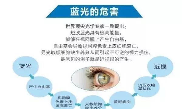 蓝光招聘_突破媒介壁垒 新兴平台应运而生(3)