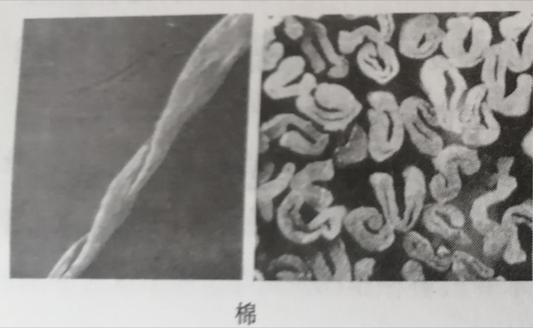 方法三 显微镜观察法(8)维纶有光纤维:淡黄紫阴影(7)涤纶纤维:白光