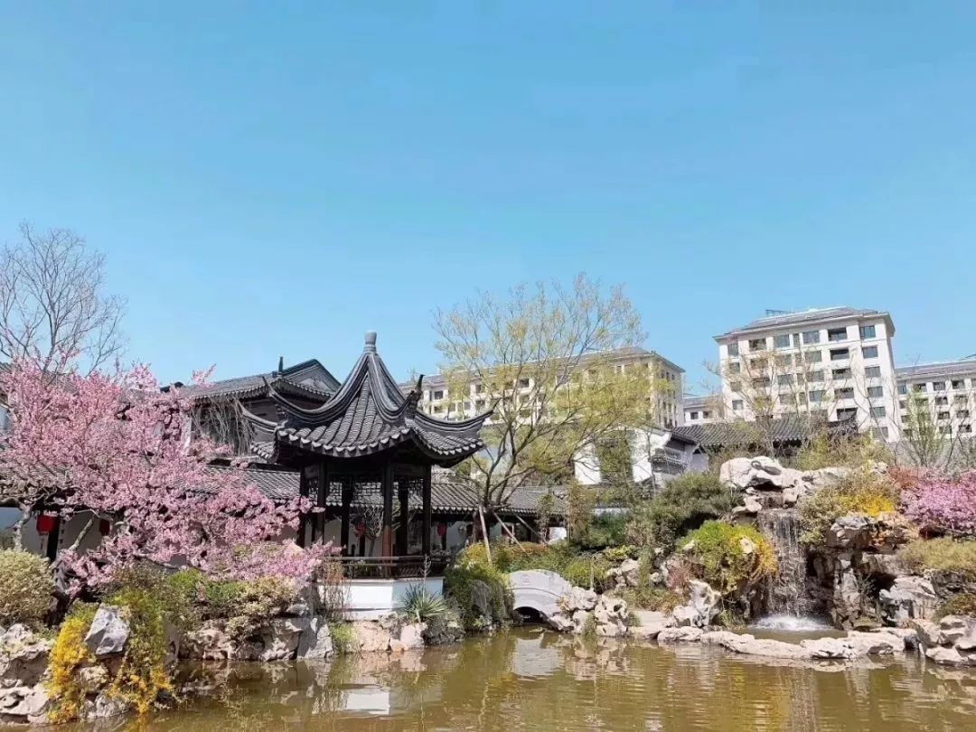 文章配图-9