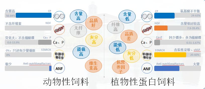 含量低,矿物质成分利用率高,不含植酸磷,能值高,几乎不含抗营养因子