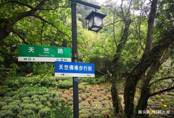 杭州最美步行街,工艺品不输河坊街,老杭州人才知道的长寿之路! qy8千亿国际手机登录