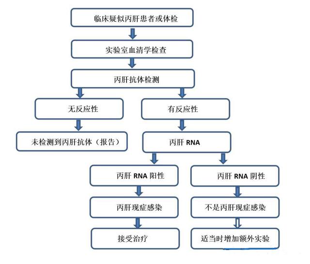 丙肝抗体阳性并不一定是丙肝,多的是你不知道